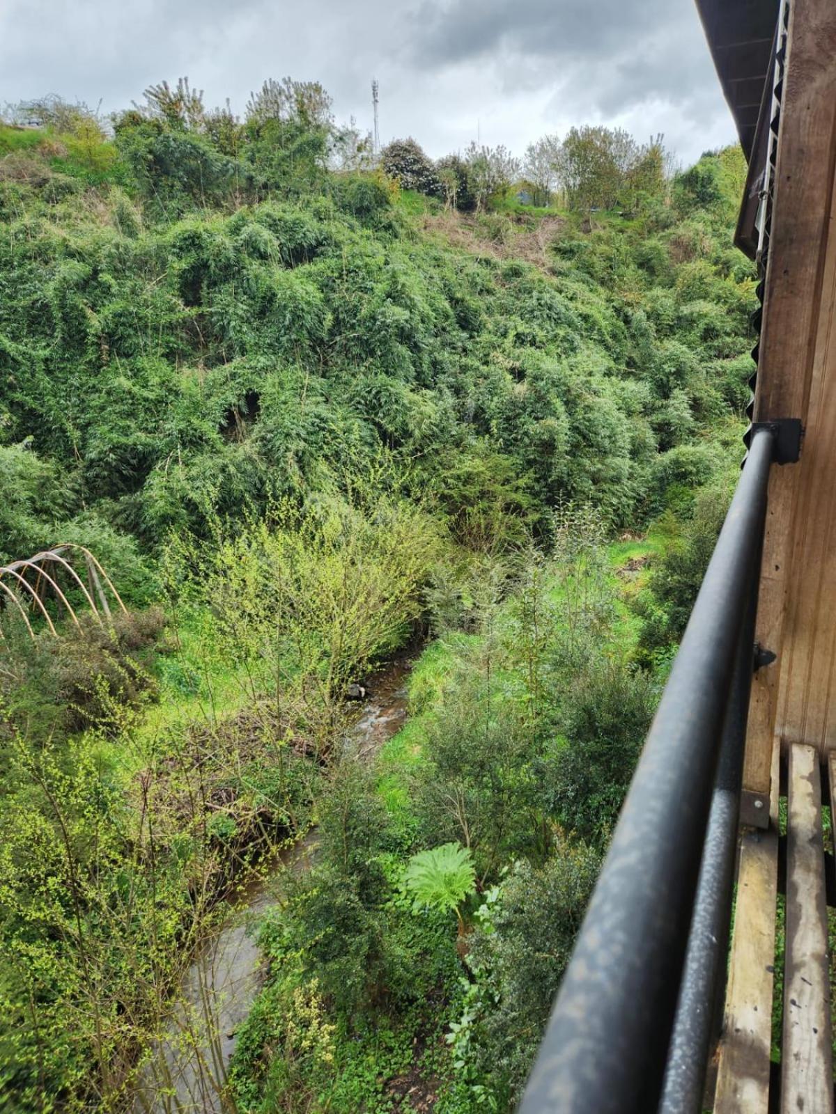 Kalas Cabanas Puerto Varas Exteriör bild